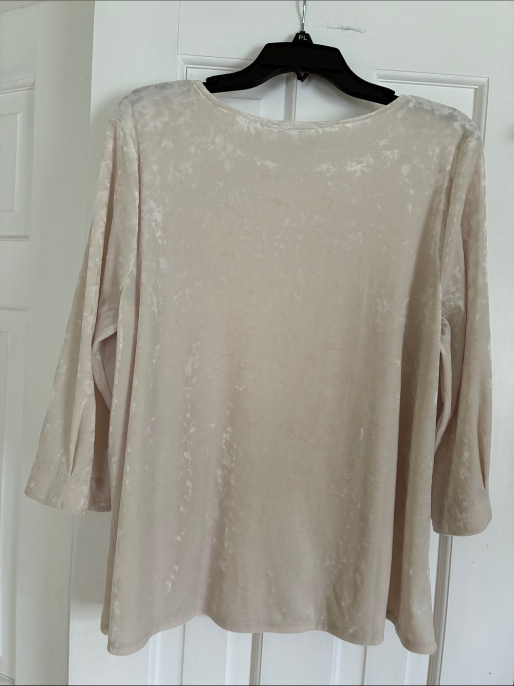 Light Beige Crushed Velvet Scoop Neck Top - Picture 5 of 6
